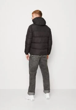 Jack & Jones Chili Puffer Hood - Winterjas - Schwarz -Jack & Jones 31918d69b1d24f3c94bceb0b4153c90e