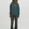Jack & Jones Junior Jorvesterbro Noos Jnr - Hoodie - Magical Forest