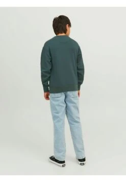 Jack & Jones Junior Jorvesterbro Crew Neck Jnr - Sweater - Magical Forest -Jack & Jones 38ed4d3f44394a68b966daf0cc516169