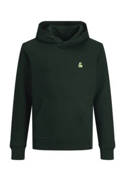 Jack & Jones Junior Jjestar Roof- Hoodie - Pine Grove -Jack & Jones 51340cccb134462886d710c174451b35