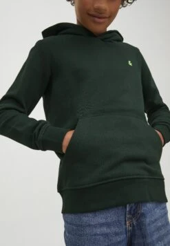 Jack & Jones Junior Jjestar Roof- Hoodie - Pine Grove -Jack & Jones 530be7ab43bd4caf853bbacb43c4e30e