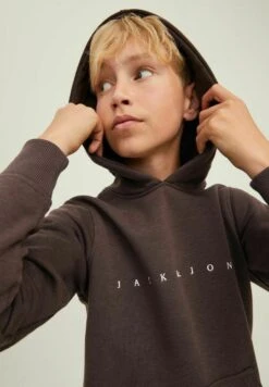 Jack & Jones Junior Jungs - Hoodie - Seal Brown -Jack & Jones 54353fc655bb4a31b80debbf692e5191