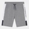 Jack & Jones Junior Jjilogo Blocking Jr - Shorts - Light Grey Melange