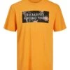 Jack & Jones Flores - T-Shirt Print - Orange