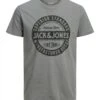 Jack & Jones T-Shirt Print - Sedona Sage