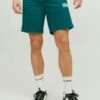 Jack & Jones Jpstnewsoft - Shorts - Storm