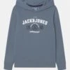 Jack & Jones Junior Jjandy Hood Jnr - Hoodie - Flint Stone