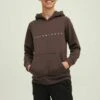 Jack & Jones Junior Jungs - Hoodie - Seal Brown