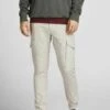 Jack & Jones Jjipaul Jjflake Akm 542 Moonbeam Sn - Cargobroek - Moonbeam