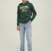 Jack & Jones Junior Elogo- Hoodie - Pine Grove