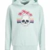 Jack & Jones Junior Totenkopf - Hoodie - Pale Blue