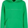 Jack & Jones Junior Jungs - Hoodie - Island Green