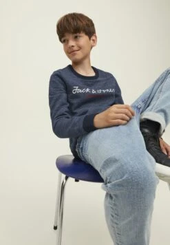 Jack & Jones Junior Jcoberg Crew Neck - Sweater - Navy Blazer -Jack & Jones d1709116049445ada1308d0edbc3e45e