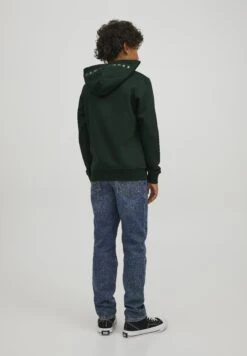 Jack & Jones Junior Jjestar Roof- Hoodie - Pine Grove -Jack & Jones d6db39cf2eb949f88d60e7a519f79cd2