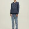 Jack & Jones Junior Jcoberg Crew Neck - Sweater - Navy Blazer