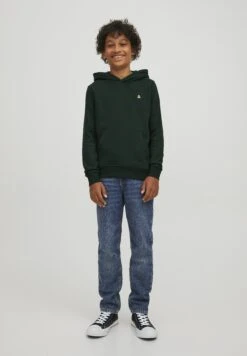 Jack & Jones Junior Jjestar Roof- Hoodie - Pine Grove