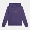 Jack & Jones Junior Jorvesterbro Noos Jnr - Hoodie - Twilight Purple