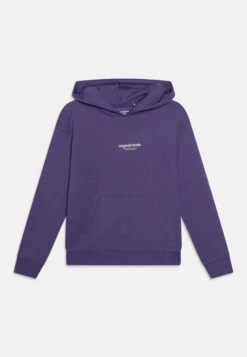 Jack & Jones Junior Jorvesterbro Noos Jnr - Hoodie - Twilight Purple