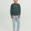 Jack & Jones Junior Jorvesterbro Crew Neck Jnr - Sweater - Magical Forest